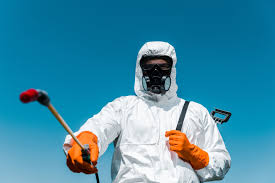 Reliable Buttonwillow, CA Pest Control Solutions